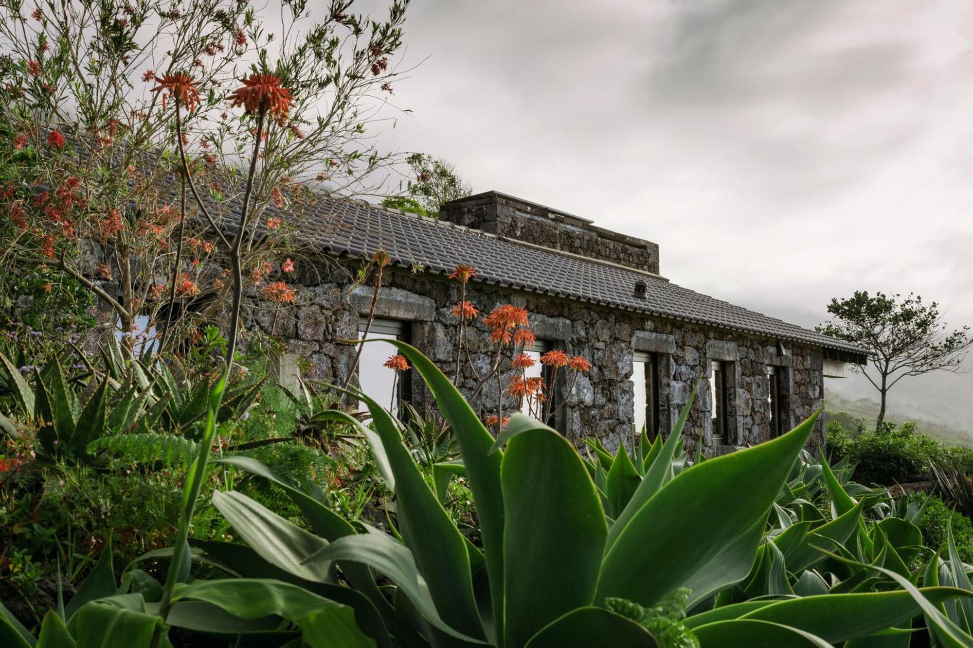 Lava Homes Santo Amaro  Kültér fotó